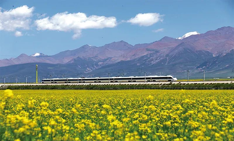 張玉卓、國資、央企、國資委、書記、主任、國企、企業改革