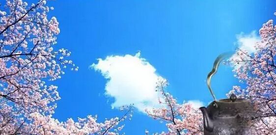鐵壺？您真的了解嗎？ m.szwsmoon.cn